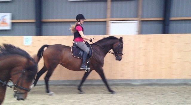 Anden særlig race Gaillarde de Osnard "Oda" <3 billede 8