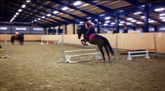 Anden særlig race Gaillarde de Osnard "Oda" <3 billede 11