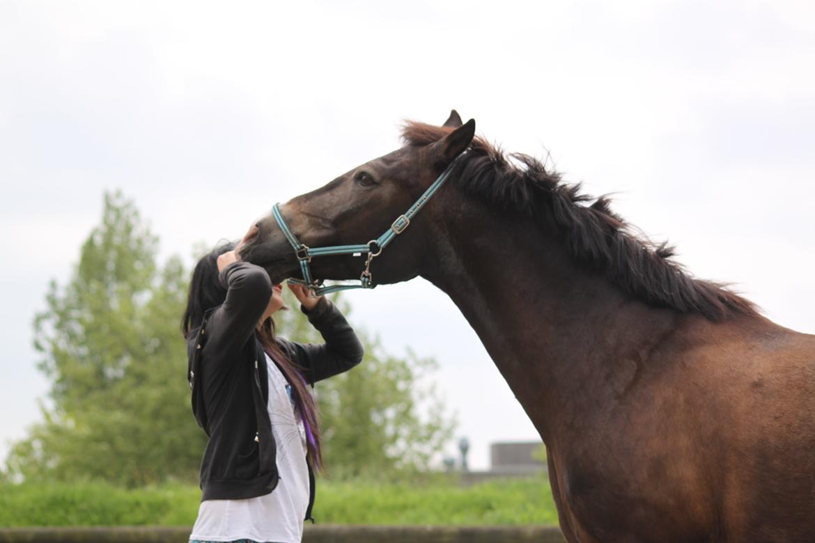 Anden særlig race Solly - Dengang <3 Min elskede dreng billede 17