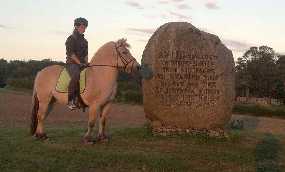 Fjordhest Sille - Marie på tur på Sille <3 Hun har tabt sig meget!  billede 8