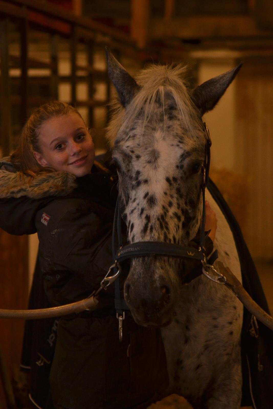 Knabstrupper Xander - Du er min dreng! :* billede 11