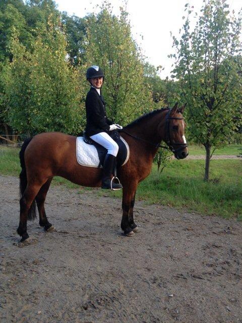 Anden særlig race Stjerne billede 10