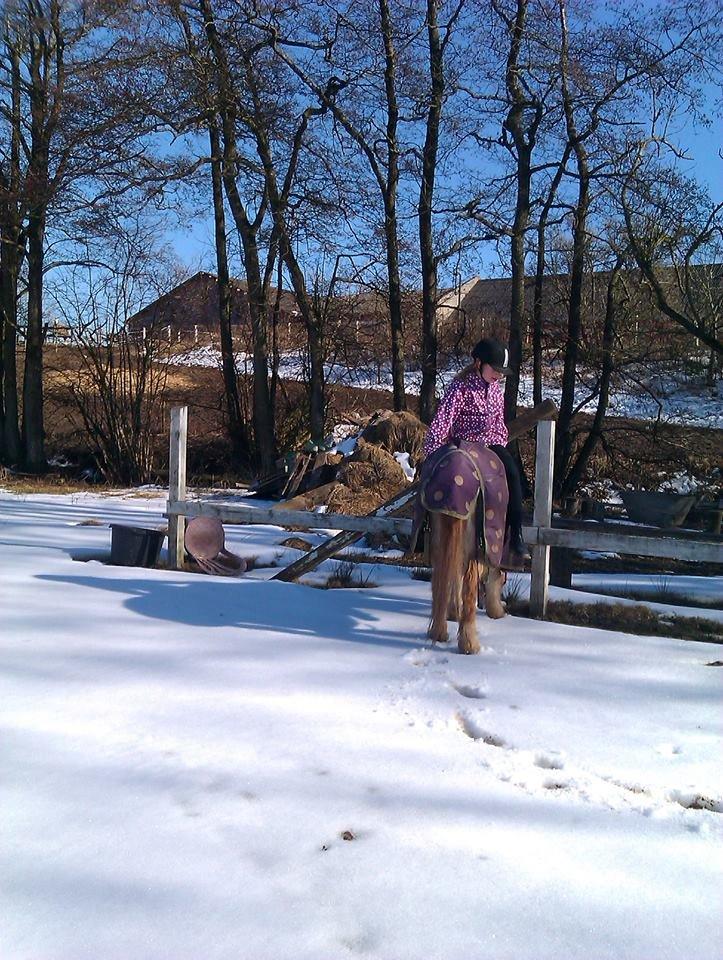 Anden særlig race Trixtan <3 ( på de evige græs-marker <3) billede 10