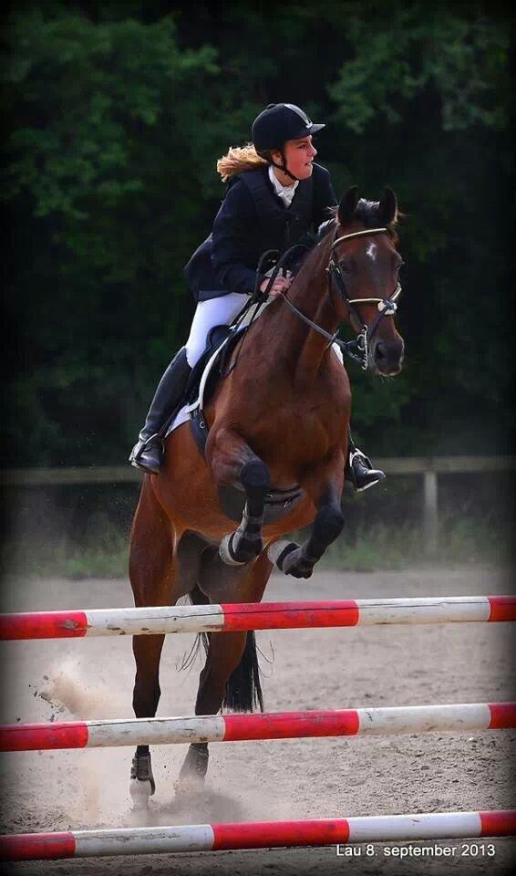 Tjekkisk Varmblod  Kusaj - 90 cm billede 12