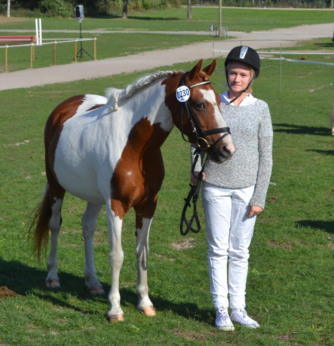 Pinto Blade - Store hestedag 2013 <3 billede 33