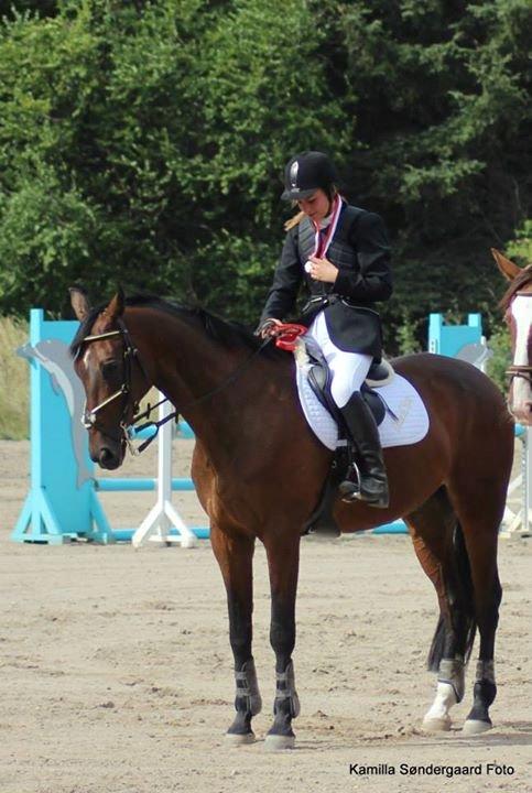 Tjekkisk Varmblod  Kusaj - Juniormester :D billede 15