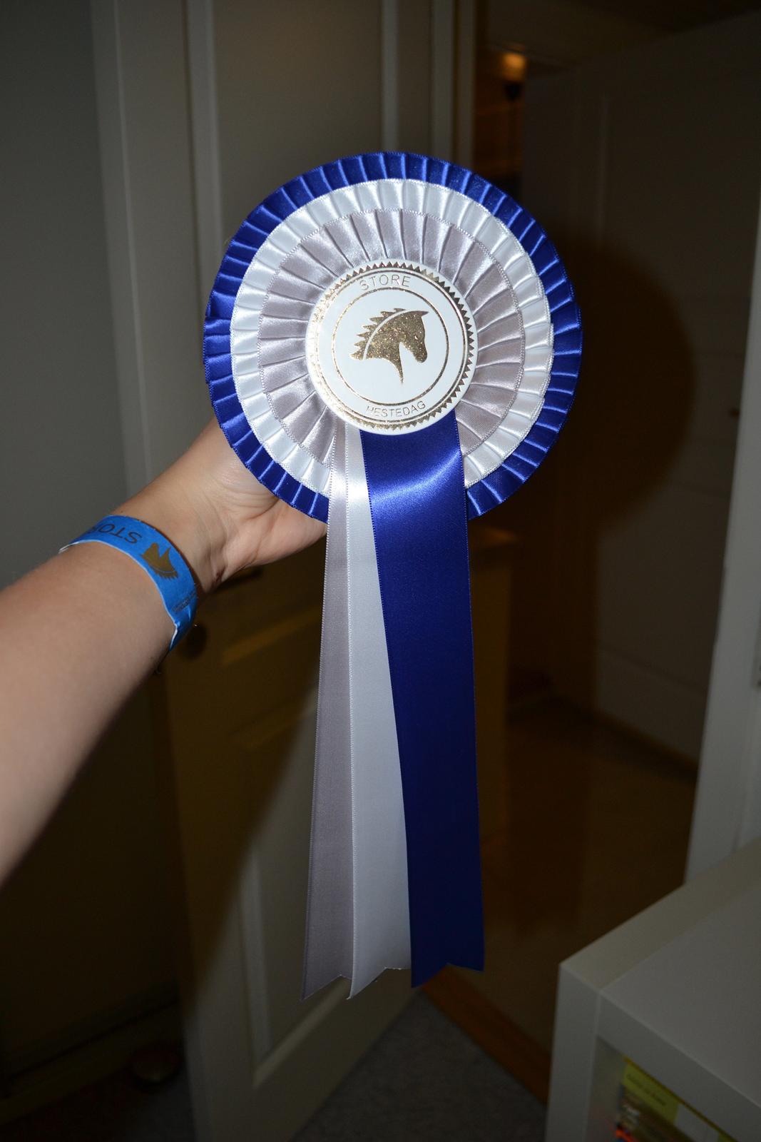 Pinto Blade - 2. plads i mønstringskonkurrence. Store hestedag 2013 <3 billede 36