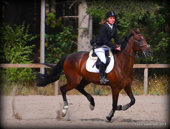 Tjekkisk Varmblod  Kusaj - Æresrunde :P billede 13