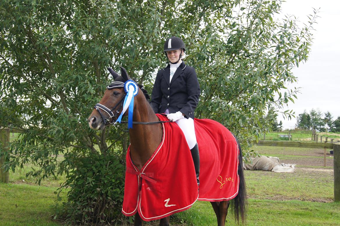 Tysk Sportspony Lienes billede 8