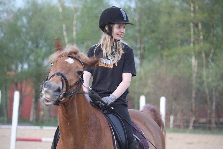 Pinto Svalegårdens Himalaya - Bimmer - Smuk hest ?? billede 14