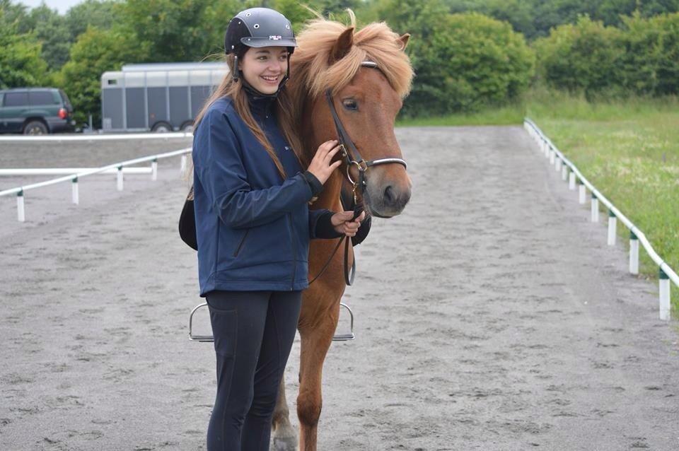 Islænder Dreki fra Hoelgaard billede 7