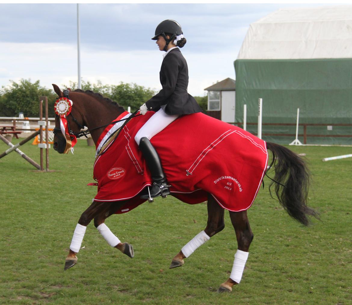 Tysk Sportspony Cascadura B-pony - Verdens bedste! :') <3  billede 12