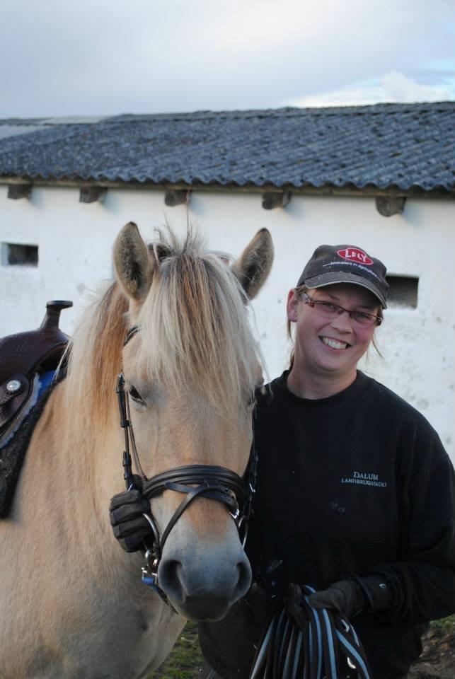 Fjordhest figther billede 29