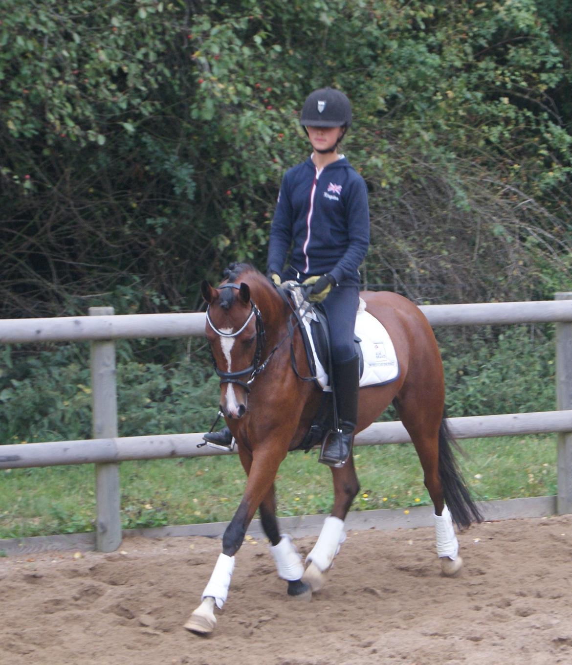 Welsh Partbred (Sec F) Katrinebjergs Ronja   A-pony - Undervisning på Ronja <3 billede 32