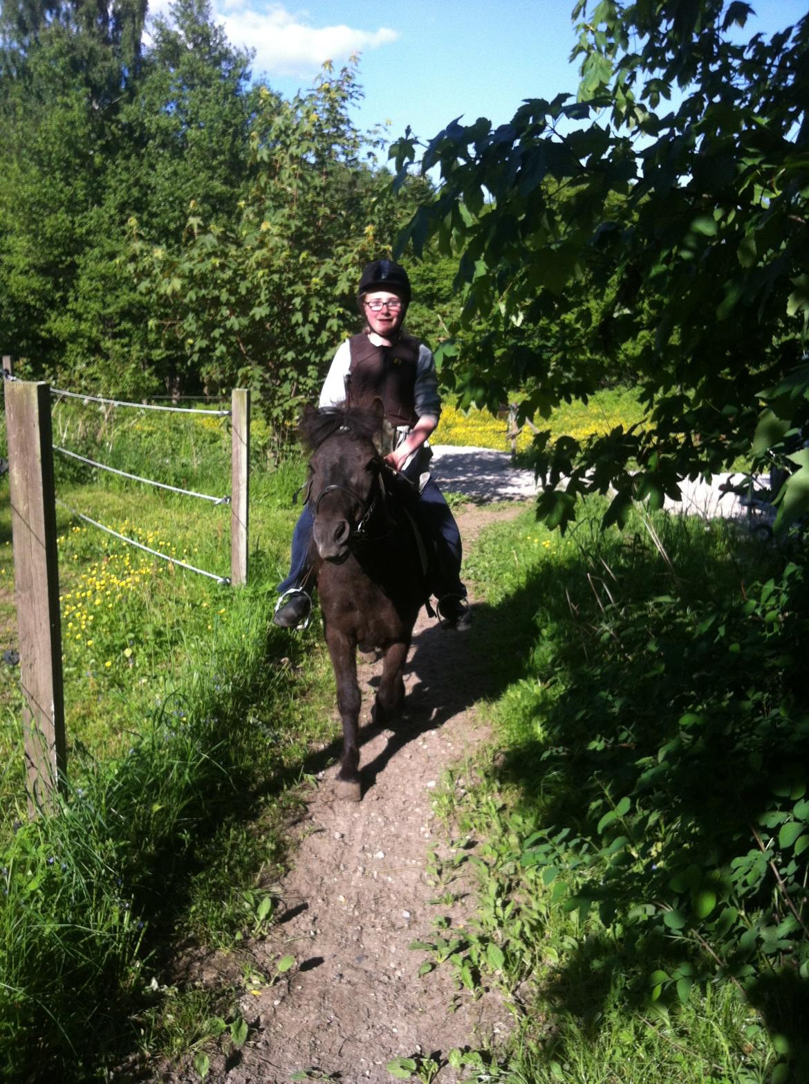 Anden særlig race Mønstergårdens Whisper In The Dark (himmelhest) billede 10