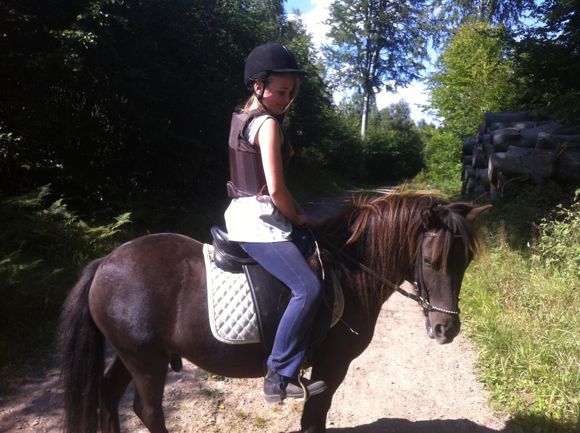 Anden særlig race Mønstergårdens Whisper In The Dark (himmelhest) - første gang i skoven billede 15