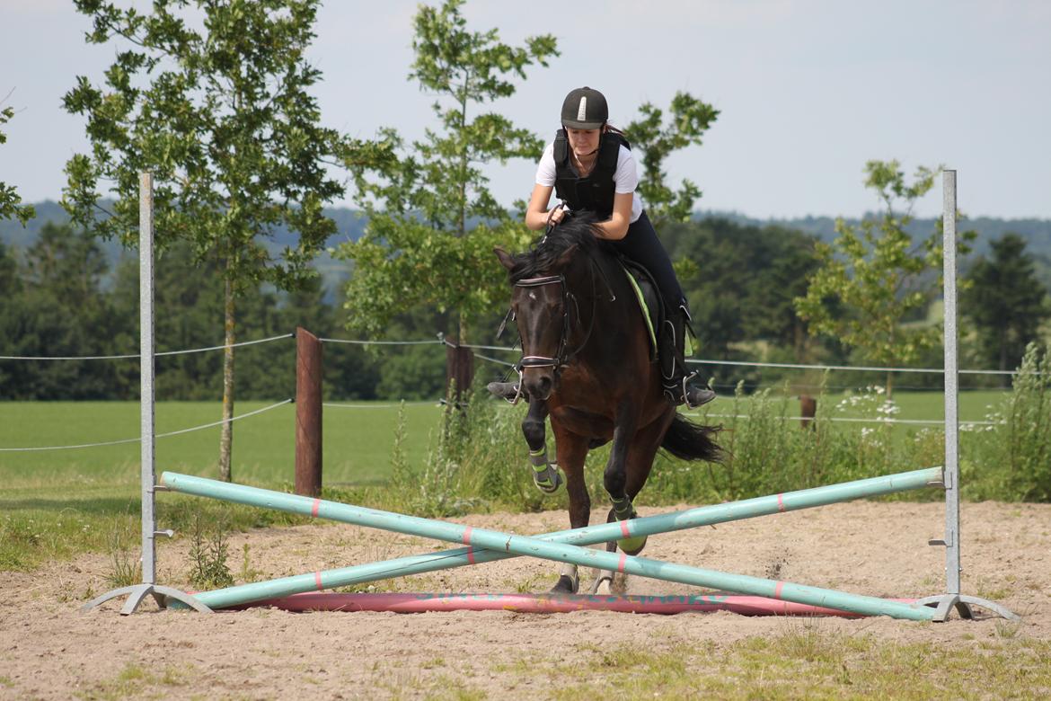 DSP DiNozzo IWE. - Prøver lidt spring med Mie. billede 40