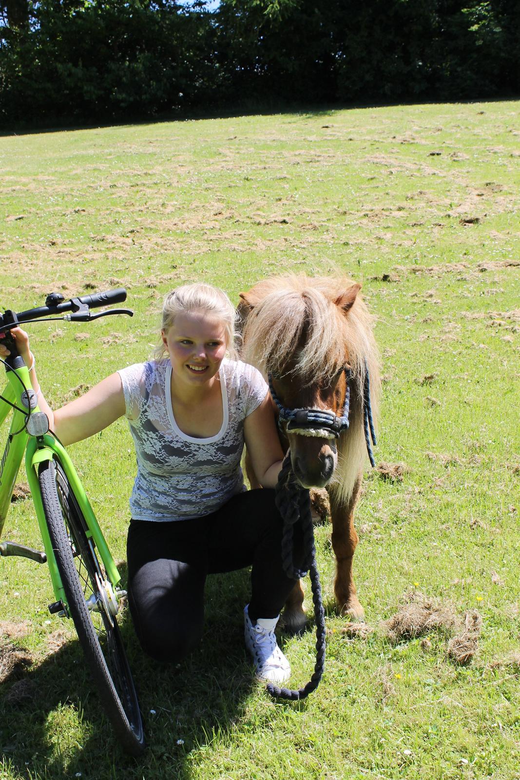 Miniature Lukas Bro af Stengaarden<3 billede 6