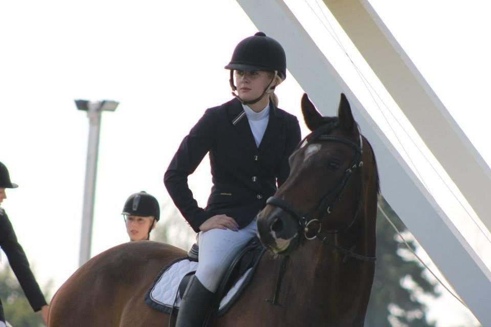 Dansk Varmblod Valløs Lexion billede 9