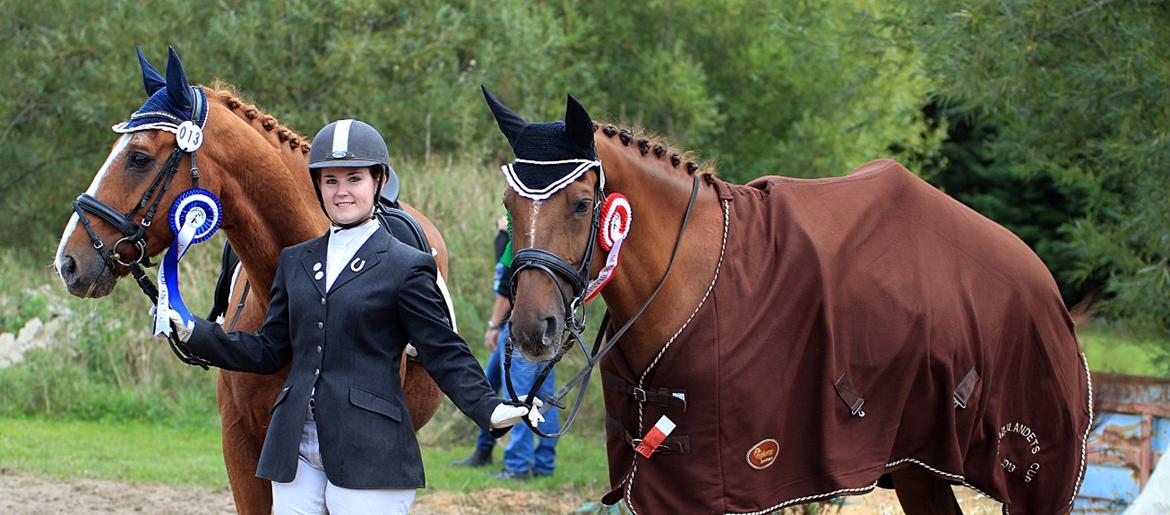 Tysk Oldenburger Pandoer - 21/9-13 Mine to FANTASTISKE drenge. Vinder af Sh cup på Saxo og 2. plads SH cup maxi på panda <3 billede 27