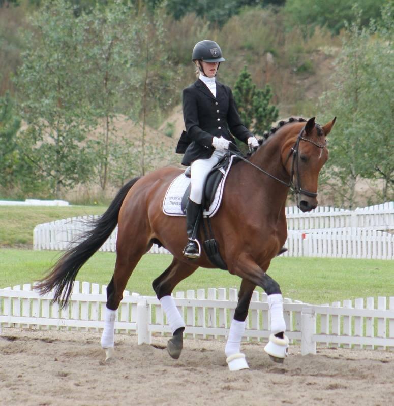 Dansk Varmblod Baunehøjens Florida - Nummer 3 til Klubmesterskaberne 2013. red LA4 til 69,8% <3 billede 18