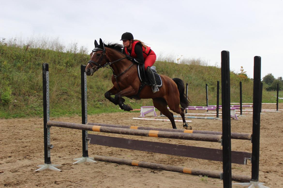Anden særlig race Lady <3 [MIN SKØNHED] billede 22