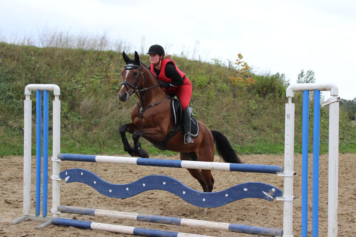 Anden særlig race Lady <3 [MIN SKØNHED] billede 23