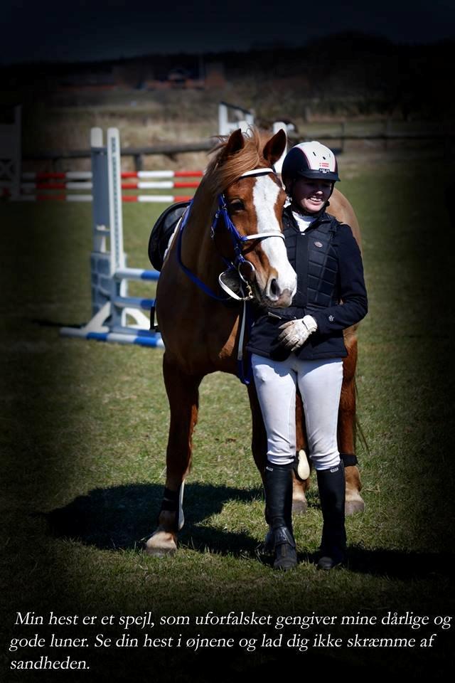 Anden særlig race Chance - Min engel!<3 billede 1