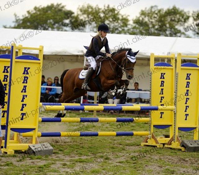 Welsh Pony (sec B) Victoria Madly <3 (A pony) - TAGET AF AMIMAL PRINT storehestedag LB** billede 5