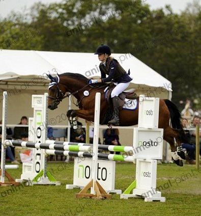 Welsh Pony (sec B) Victoria Madly <3 (A pony) - TAGET AF AMIMAL PRINT storehestedag LB** billede 2