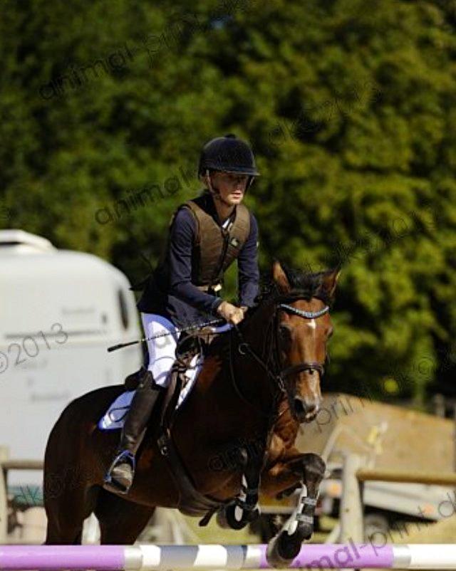 Welsh Pony (sec B) Victoria Madly <3 (A pony) - TAGET AF AMIMAL PRINT storehestedag LA** billede 9