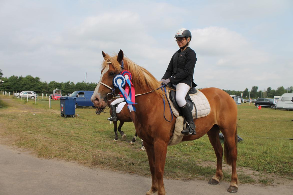 Anden særlig race Chance - Ponyuge2013 - sidste dag!<3 billede 5