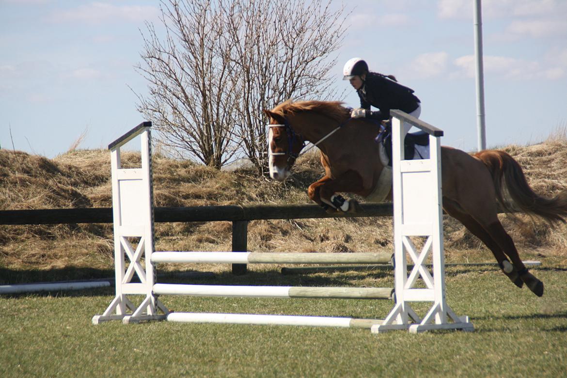 Anden særlig race Chance billede 8