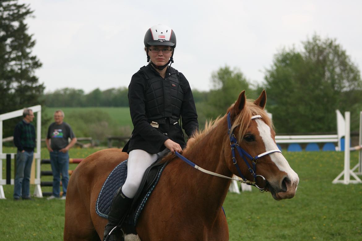 Anden særlig race Chance billede 12