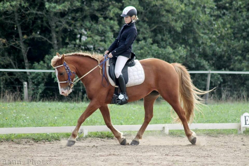 Anden særlig race Chance - Baun-foto
LC1 billede 6