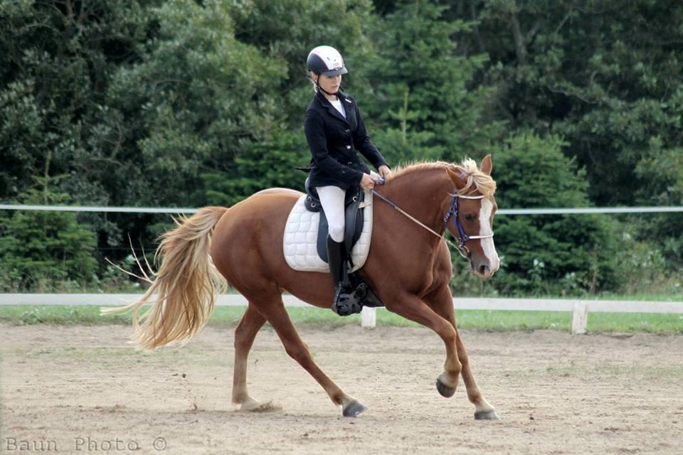 Anden særlig race Chance billede 2