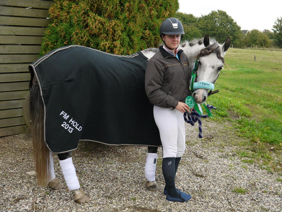 Anden særlig race Armani - B-pony billede 14