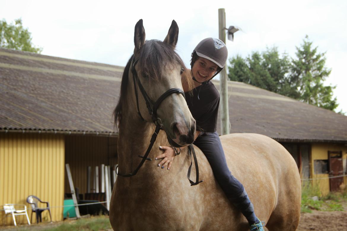 Frederiksborg Safran Lundsgård aka. Dulle billede 2