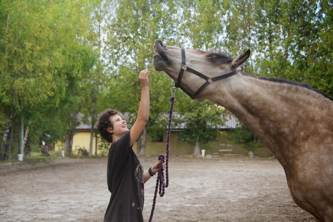 Frederiksborg Safran Lundsgård aka. Dulle - Smil, så er du så smuuk! billede 7