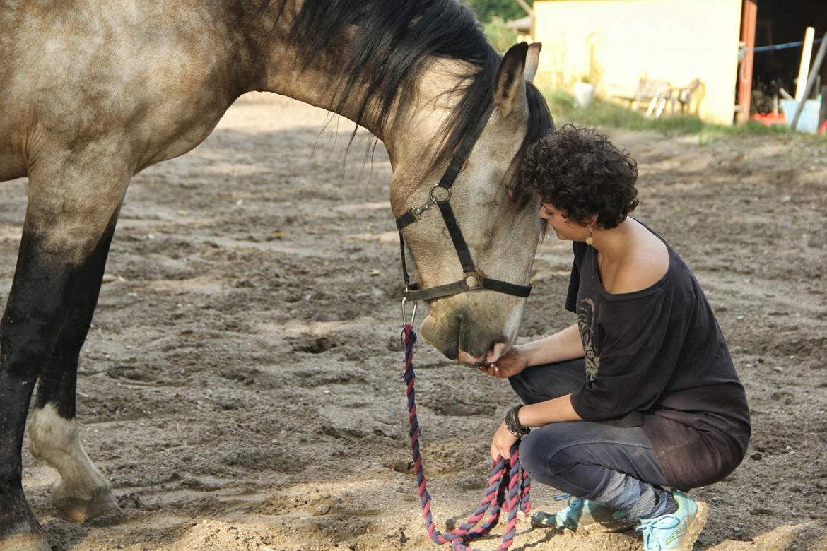 Frederiksborg Safran Lundsgård aka. Dulle billede 9