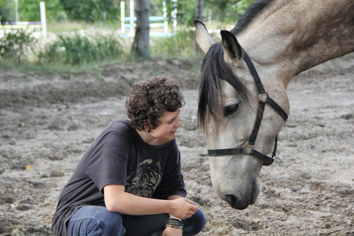 Frederiksborg Safran Lundsgård aka. Dulle billede 19