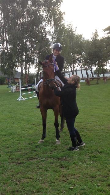 Hannoveraner Dirty Harry billede 16