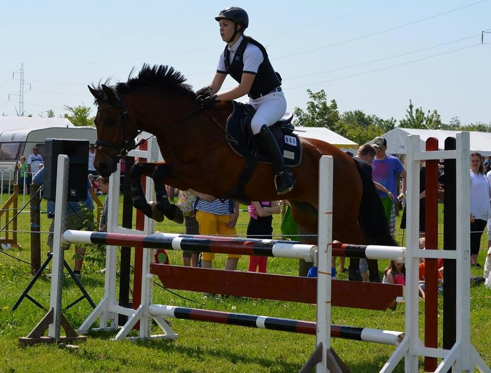 New Forest Bøgelys Julius billede 18