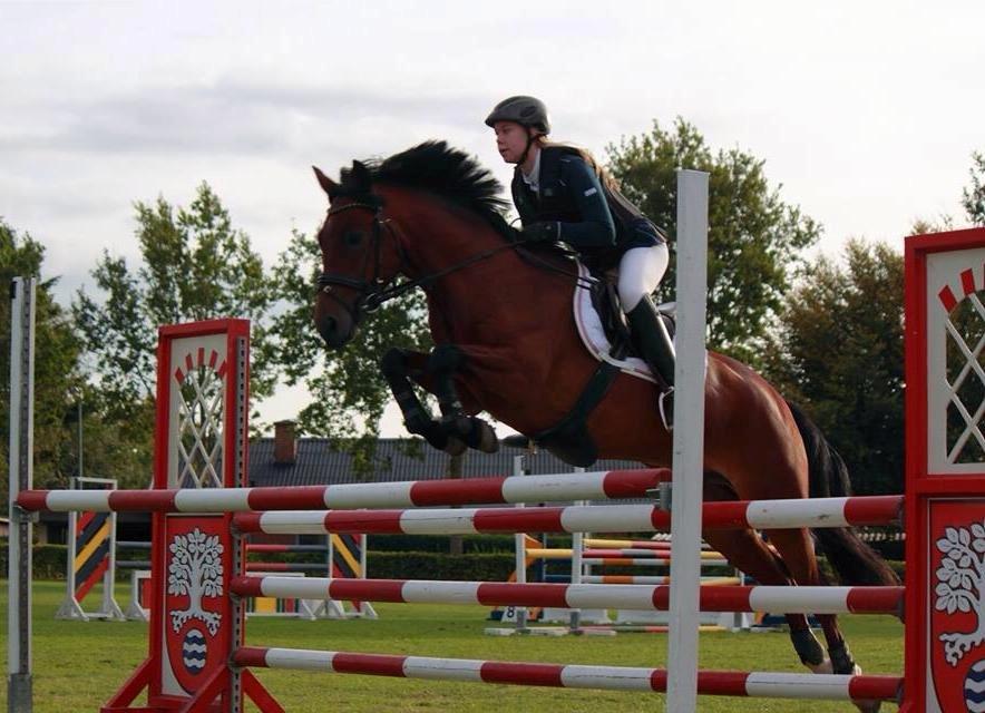 New Forest Bøgelys Julius - Første Mb<3  billede 1