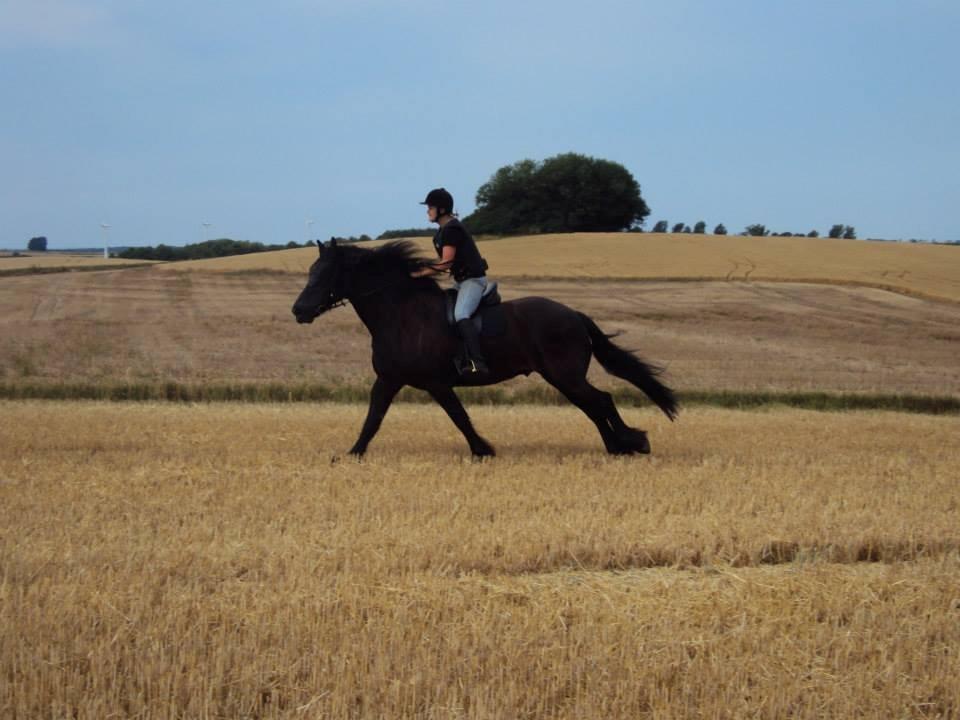 Frieser Branco af Stasevang - Lykken er, den følelse jeg får når jeg svæver hen over marken med dig. Hver for sig er jeg intet, men sammen med dig, kan jeg alt. Du den bedste<3 billede 11