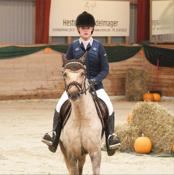 Tysk Sportspony Paloma 256 - Skulle havde redet Minni i den MB, men tog paloma i sidste øjeblik. han rede lige min dag! billede 25