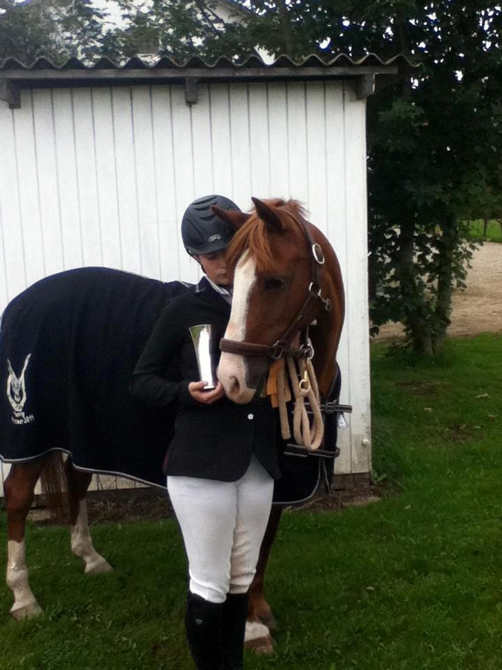 Belgisk Sportspony Ratina billede 21