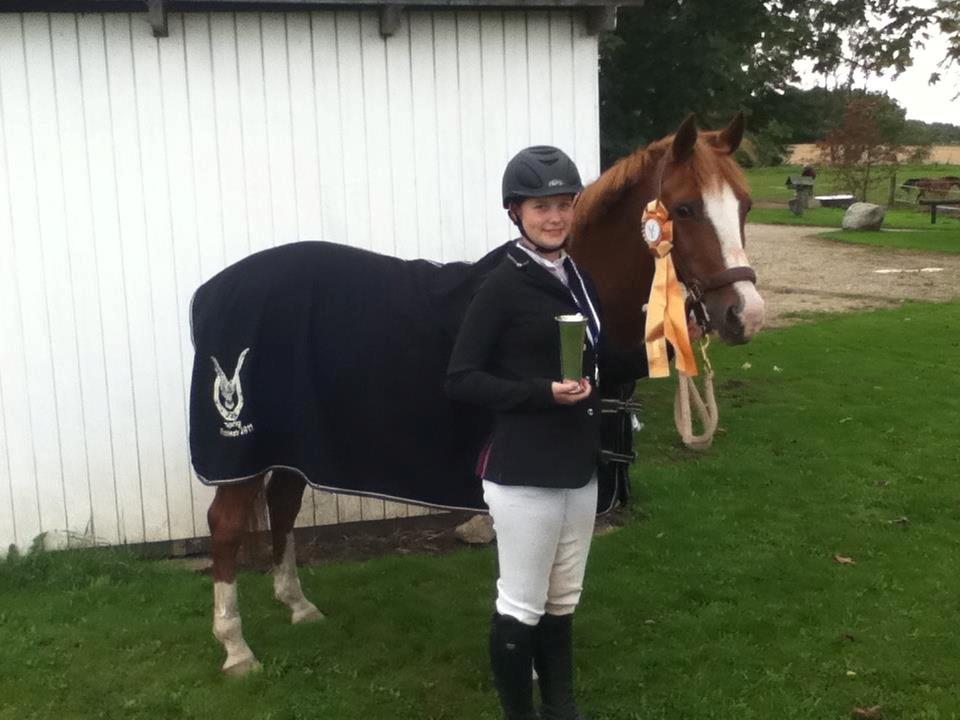 Belgisk Sportspony Ratina billede 22