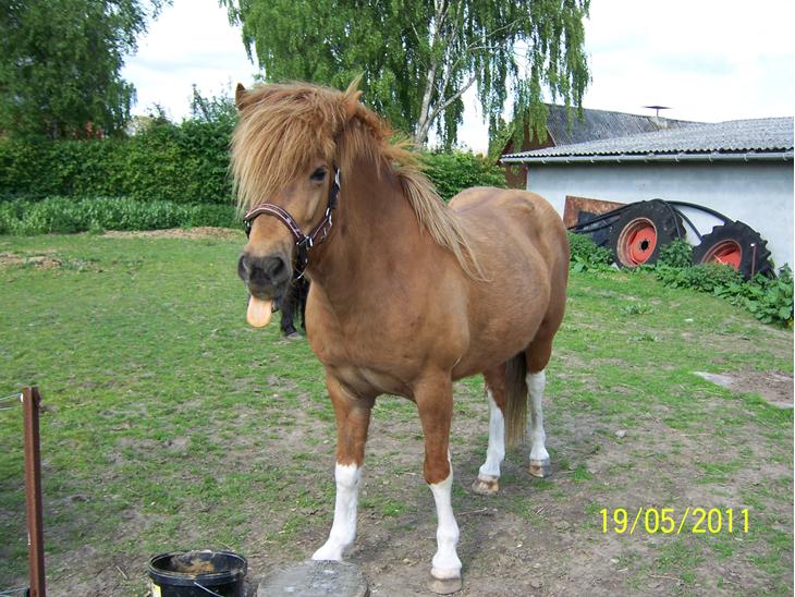 {{currentPhoto.altText}} billede {{currentPhoto.number}}