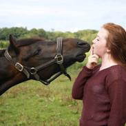 Anden særlig race Casami